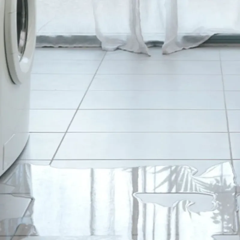 Appliance Leak Cleanup in White Pigeon, MI
