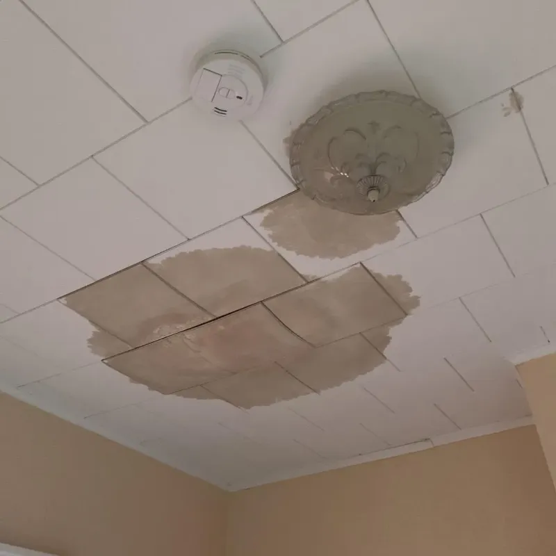 Ceiling Water Damage Repair in White Pigeon, MI
