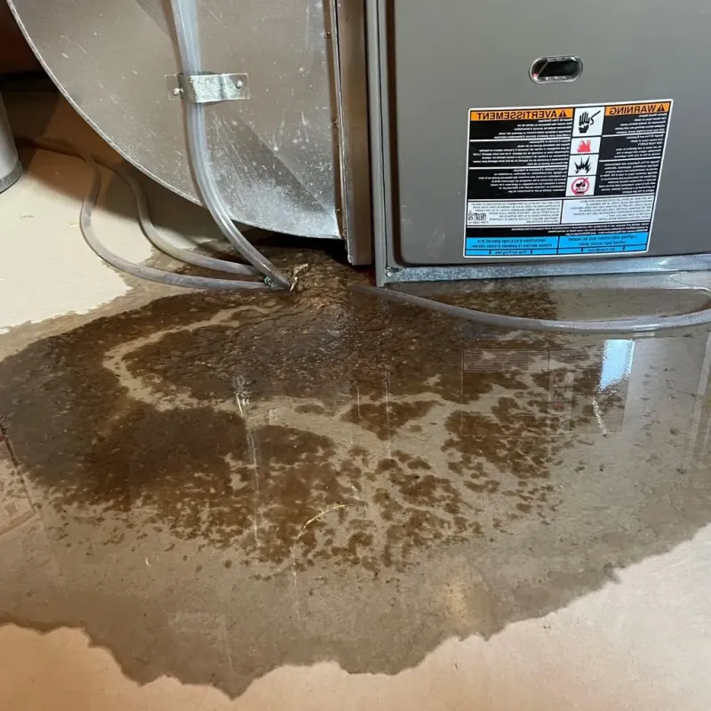 Pipe Burst and Leak Restoration in White Pigeon, MI