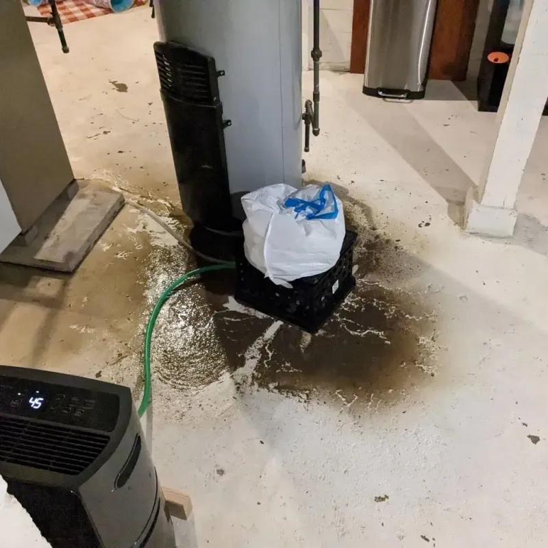 Sewage Backup Cleanup Service in White Pigeon, MI